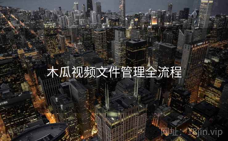木瓜视频文件管理全流程