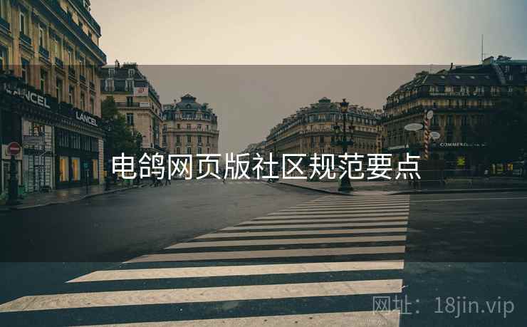 电鸽网页版社区规范要点