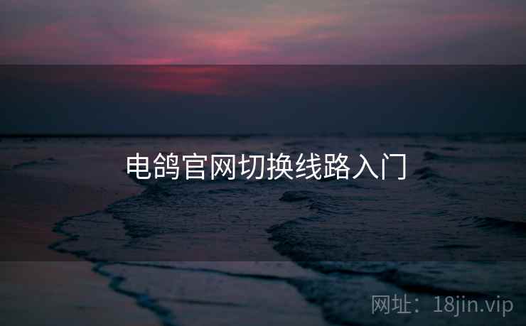 电鸽官网切换线路入门