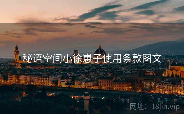 秘语空间小徐崽子使用条款图文