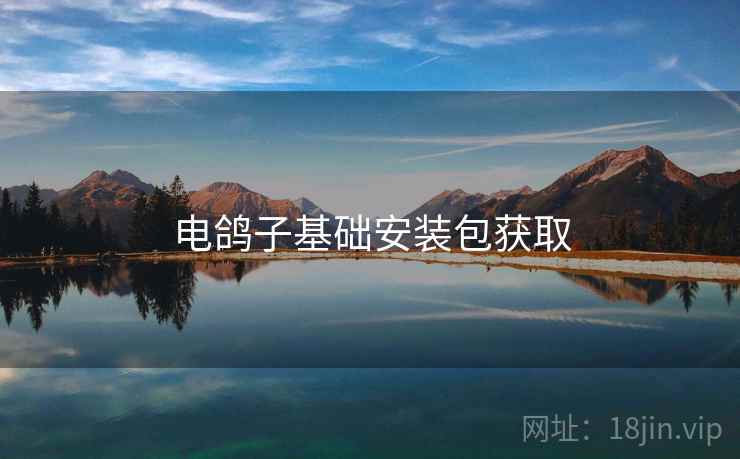 电鸽子基础安装包获取
