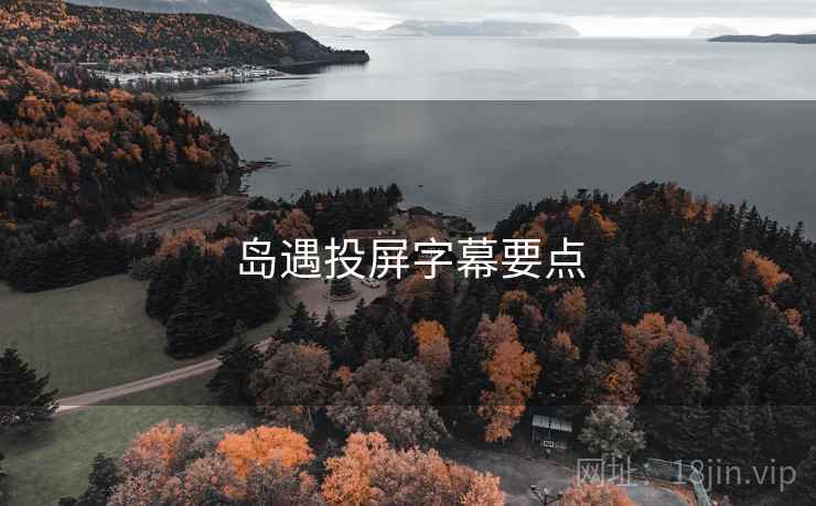 岛遇投屏字幕要点