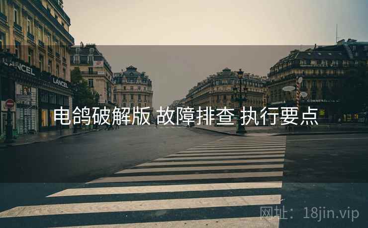 电鸽破解版 故障排查 执行要点