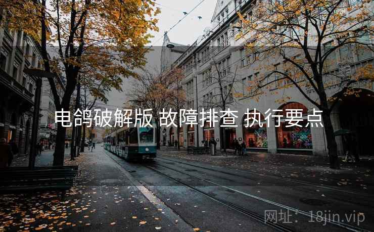 电鸽破解版 故障排查 执行要点