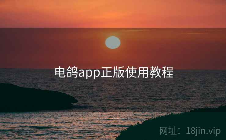 电鸽app正版使用教程