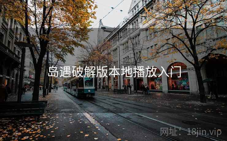 岛遇破解版本地播放入门