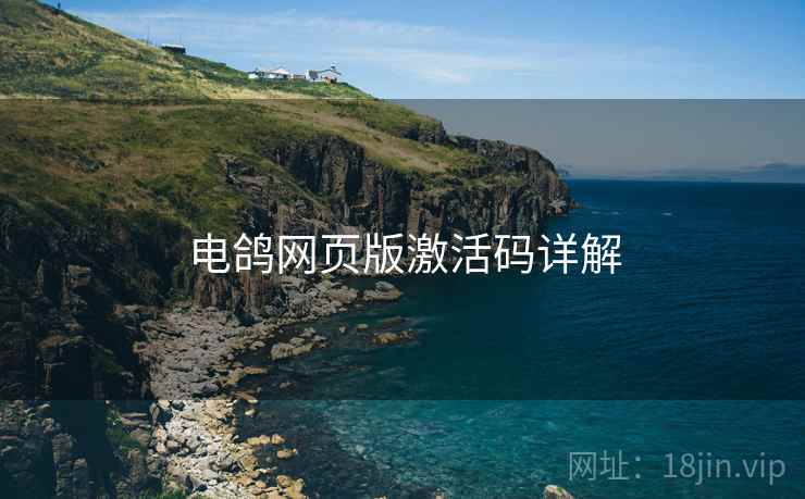电鸽网页版激活码详解