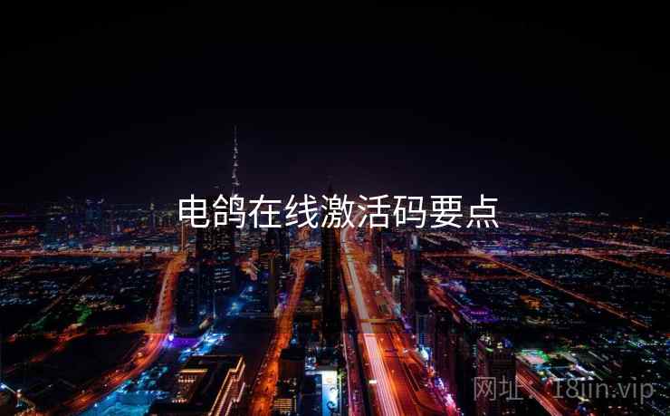 电鸽在线激活码要点