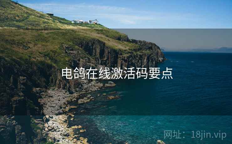 电鸽在线激活码要点