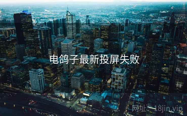 电鸽子最新投屏失败
