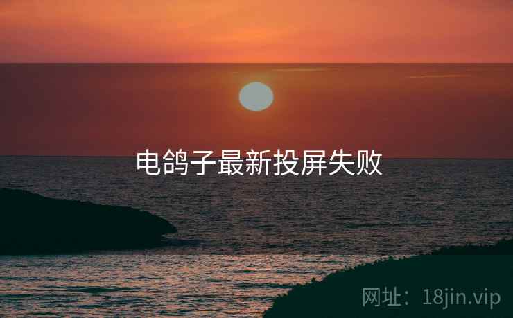 电鸽子最新投屏失败