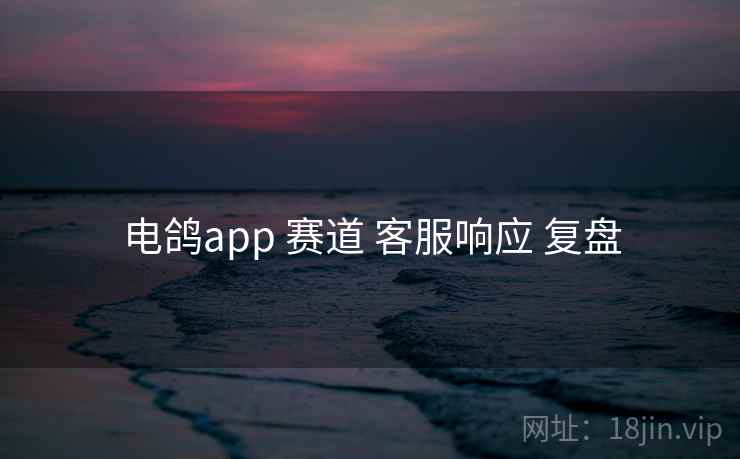 电鸽app 赛道 客服响应 复盘