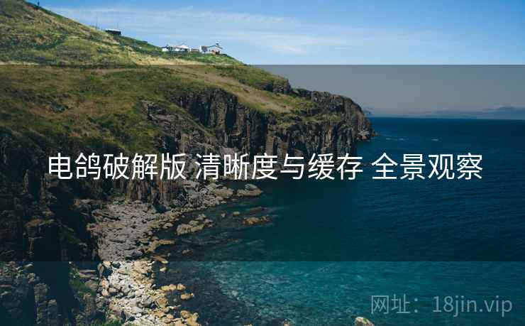 电鸽破解版 清晰度与缓存 全景观察