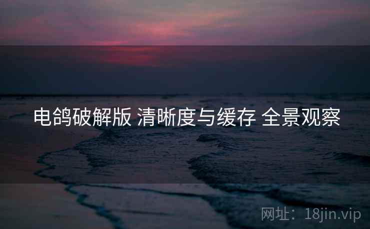 电鸽破解版 清晰度与缓存 全景观察