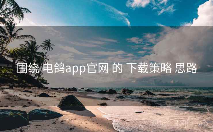 围绕 电鸽app官网 的 下载策略 思路