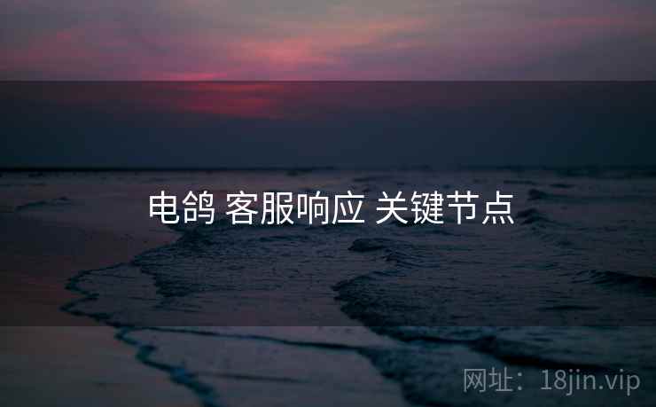 电鸽 客服响应 关键节点