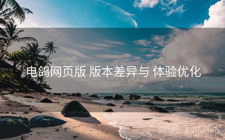 电鸽网页版 版本差异与 体验优化