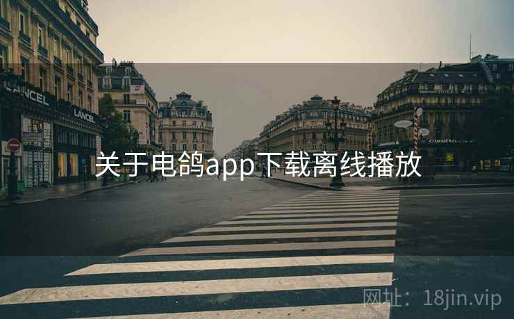 关于电鸽app下载离线播放