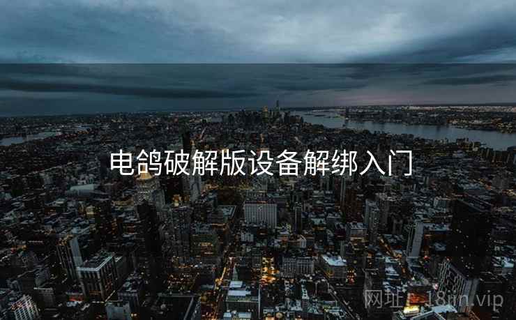 电鸽破解版设备解绑入门