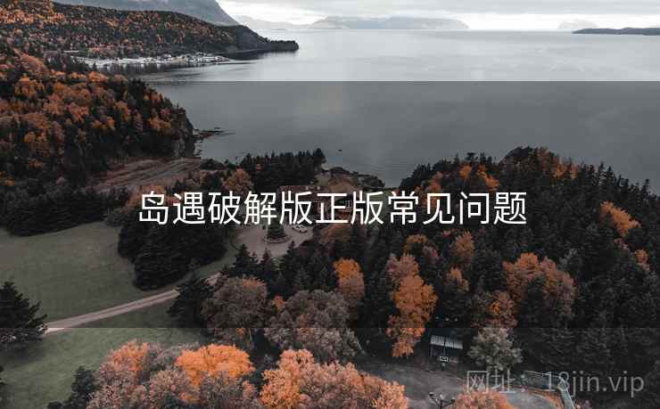 岛遇破解版正版常见问题