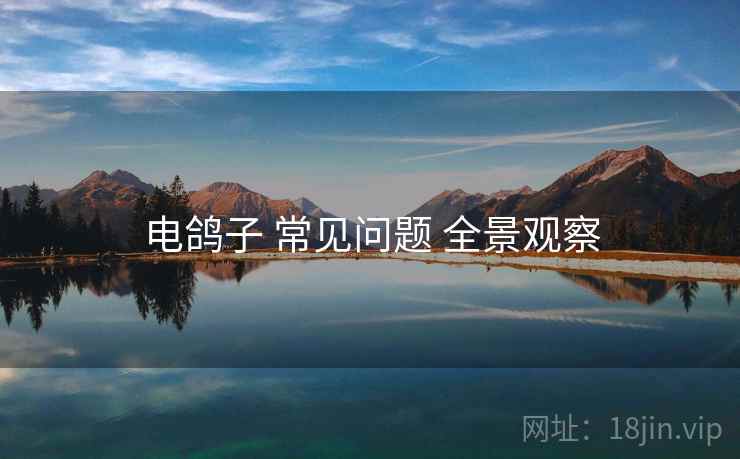 电鸽子 常见问题 全景观察