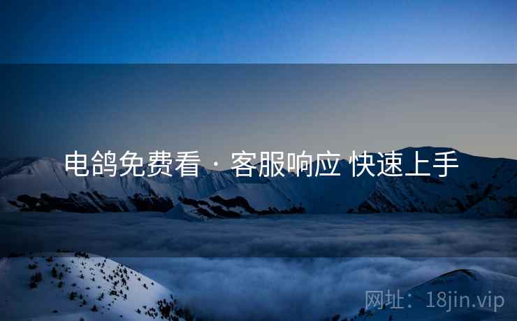 电鸽免费看 · 客服响应 快速上手
