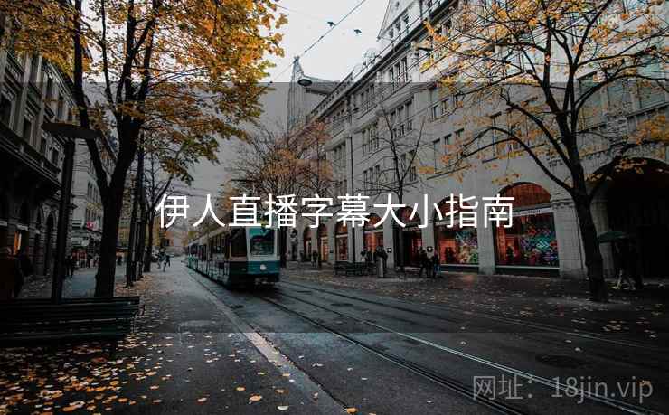 伊人直播字幕大小指南