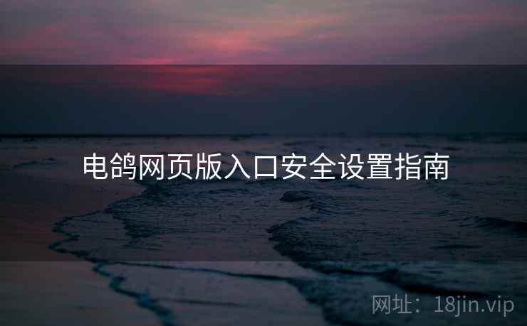 电鸽网页版入口安全设置指南