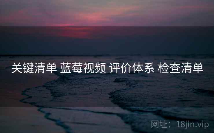 关键清单 蓝莓视频 评价体系 检查清单