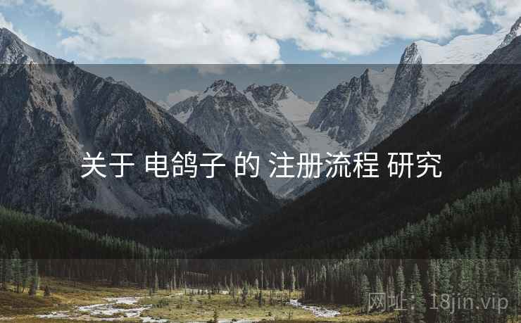 关于 电鸽子 的 注册流程 研究