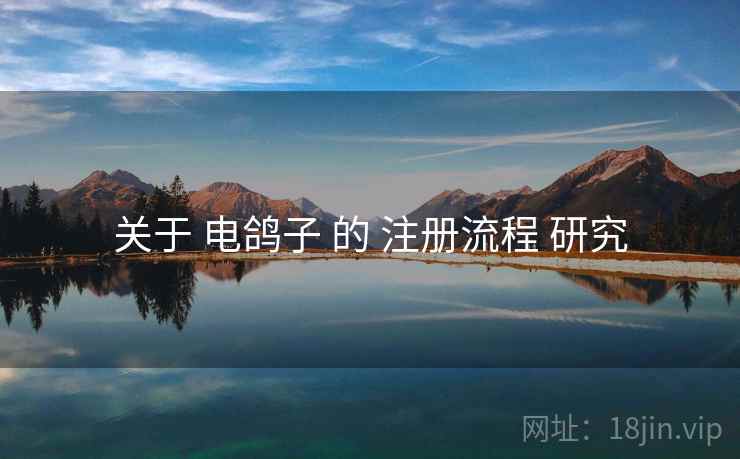 关于 电鸽子 的 注册流程 研究
