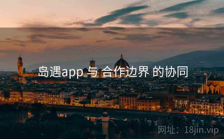 岛遇app 与 合作边界 的协同