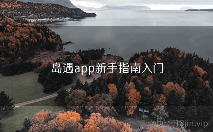 岛遇app新手指南入门