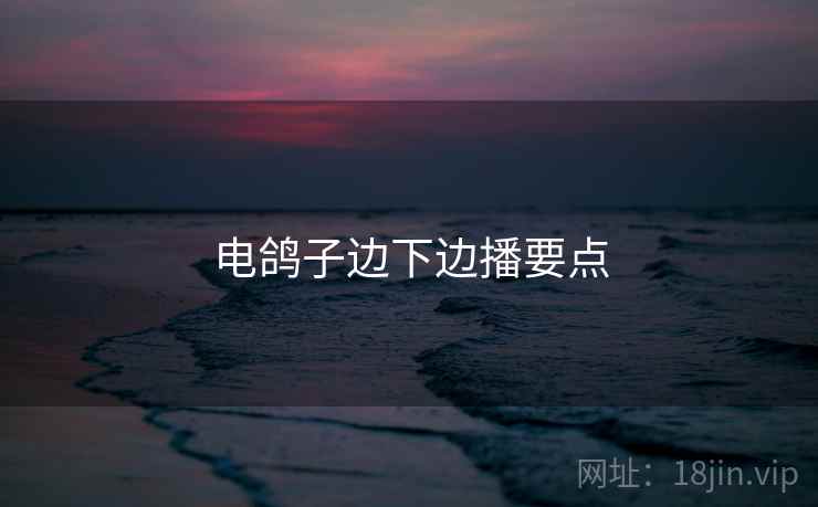 电鸽子边下边播要点