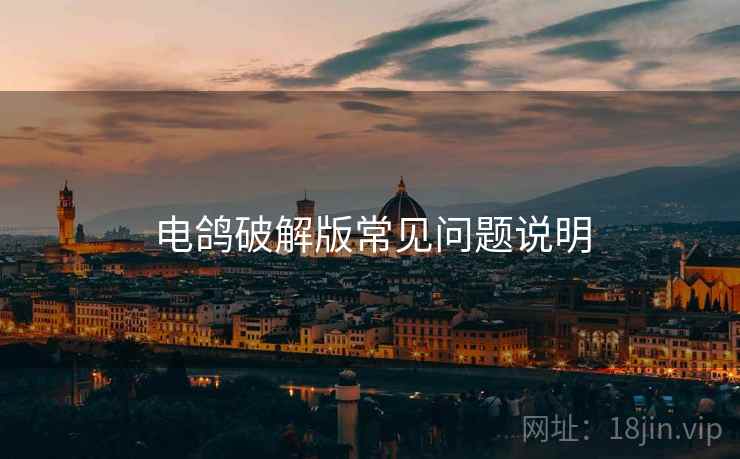 电鸽破解版常见问题说明