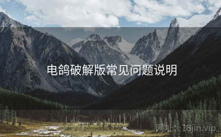 电鸽破解版常见问题说明