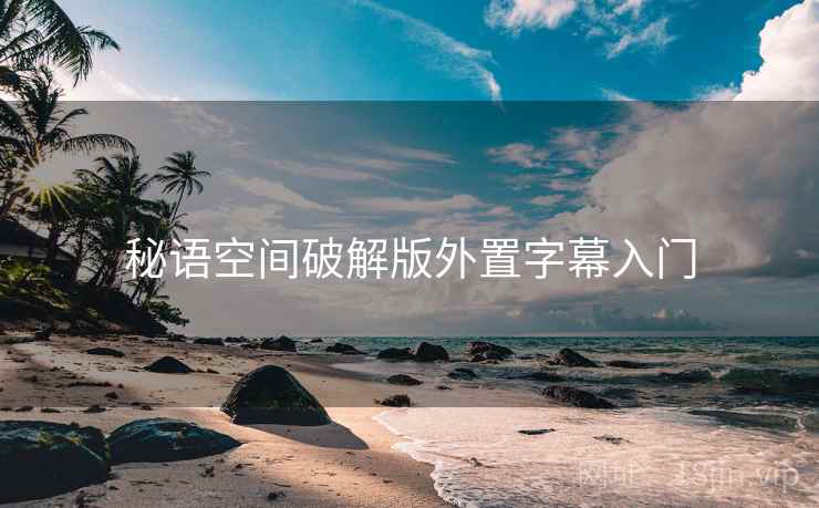 秘语空间破解版外置字幕入门