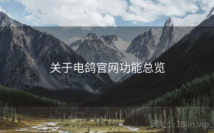 关于电鸽官网功能总览