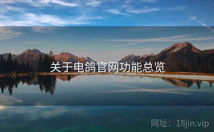 关于电鸽官网功能总览