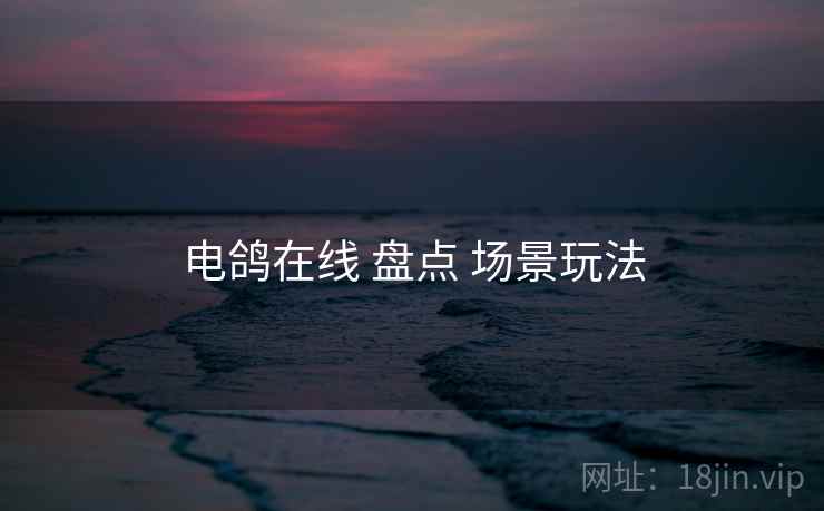 电鸽在线 盘点 场景玩法