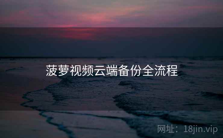 菠萝视频云端备份全流程
