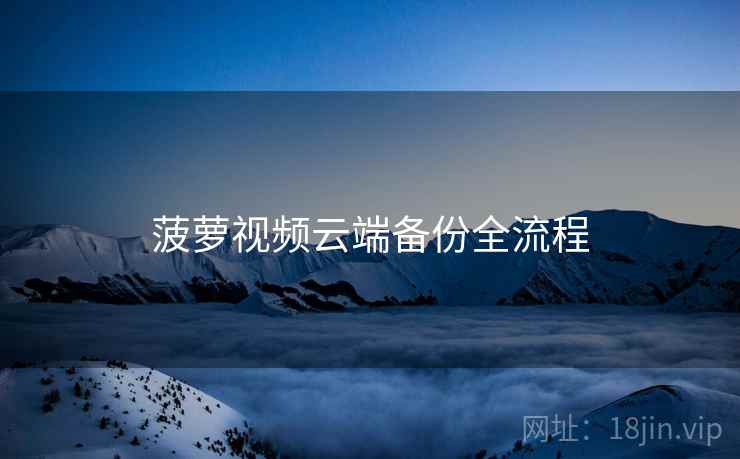 菠萝视频云端备份全流程