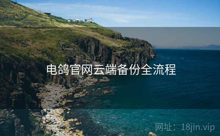 电鸽官网云端备份全流程