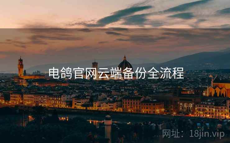 电鸽官网云端备份全流程