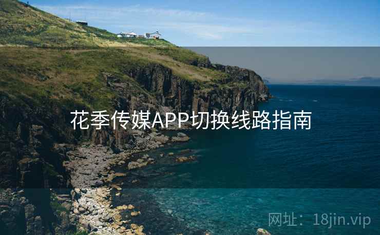 花季传媒APP切换线路指南