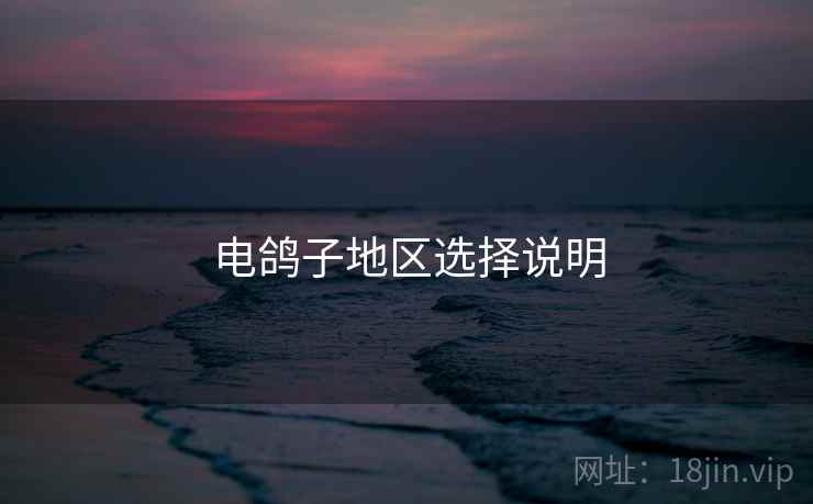 电鸽子地区选择说明
