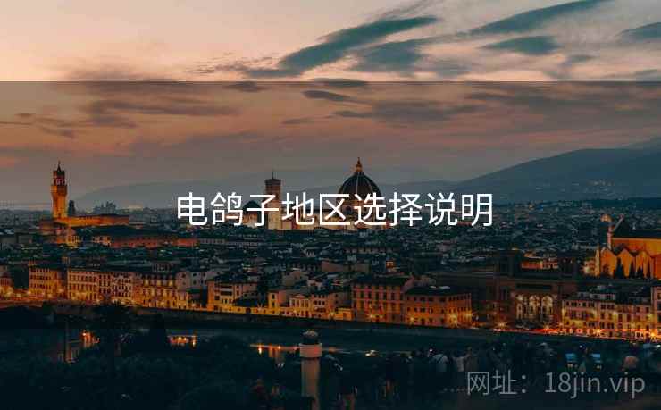 电鸽子地区选择说明