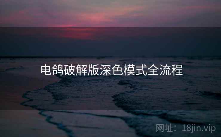 电鸽破解版深色模式全流程